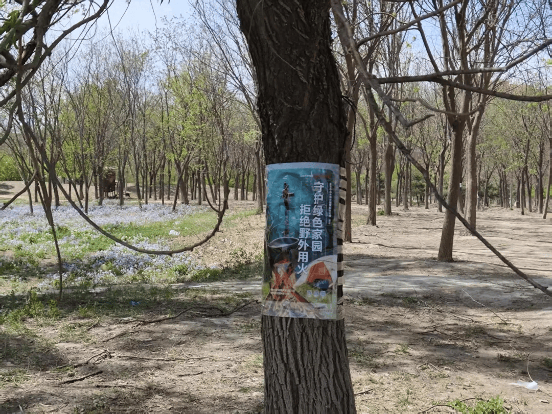 “春風(fēng)護(hù)林”專項行動啟動！豐臺區(qū)園林綠化局拉網(wǎng)式排查露營火患:園林綠化
