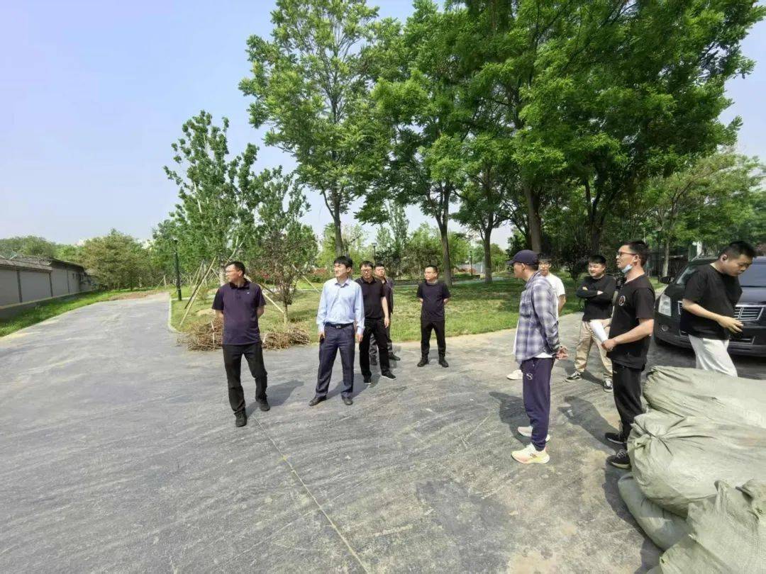 通州區(qū)園林綠化局高效推進施養(yǎng)移交工作<strong></p>
<p>園林綠化
</strong>，匠心守護城市綠色空間:園林綠化
